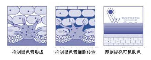 bet356体育在线官方网站